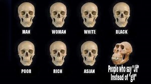 Skull Comparisons | Know Your Meme