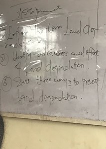 Explain the term Land degradation.Identify four causes and eff... | Filo