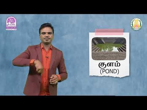THINGS ON THE EARTH AND ANIMALS | SIGN LANGUAGE | சைகை மொழி | Kalvi TV