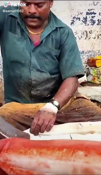 How to Fillet a Large Fish: Step-by-Step Guide