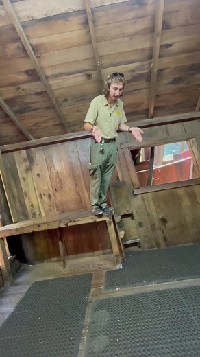 Explore the Mystery Spot in Santa Cruz, California