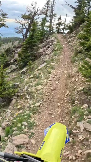 Montana Alpine Views