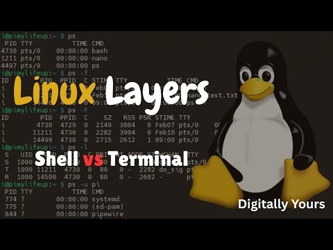 Linux Explained for Beginners | Layers + Shell vs Terminal