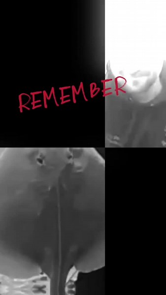 #fyp#limitlessseafishing #fishtok #seadra #natureatitsbest #seafishing #rockfishing #water #fish