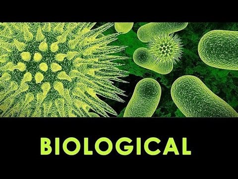 Biological classification
