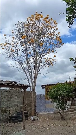 22 de novembro de 2025