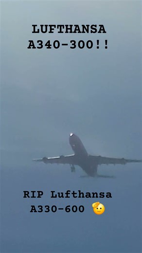 *ULTRA RARE* Lufthansa Airbus A340-300 LANDING AT RDU!!! #lufthansa #airbusa340 #rdu #fyp