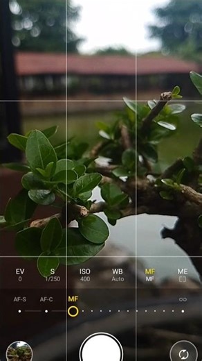 Camera pro + Lightroom presets #edit #lightroom #camera