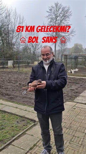 WILL OUR BIRD COME?! 81KM, DAD!!