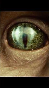 🎬 Battleship (2012) – The Sunrise Ambush & Alien Ship Destruction! ⚓🔥 | Film Zoom In