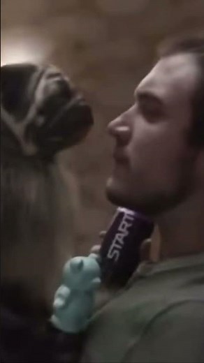 Tb Super Bowl commercial 2016 puppy monkey baby #nfl #superbowl