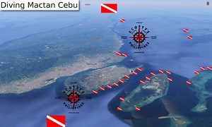 Diving Mactan Cebu