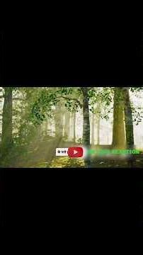 park love story kahini romantic♥️#viral #youtubevideo