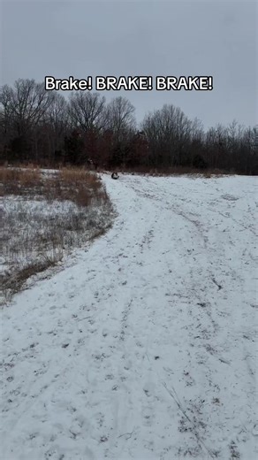 Winter Storm Caught on Camera: College Students Saved by Fence