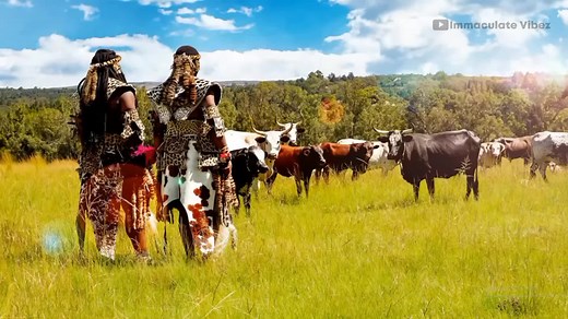 Inkabi Zezwe, Sjava, Big Zulu - Khaya Lami lyrics [Full video on YouTube] #inkabizezwe #sjava #bigzulu