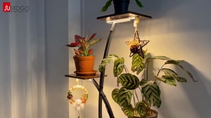 Plant Stand Indoor with Grow Lights - 63" Tall Plant Shelf, 7 Tiered Corner Plant Stands for Indoor Plants Multiple, X-Shaped Metal Large Flower Holder Decorative Display Rack for Living Room, Home
