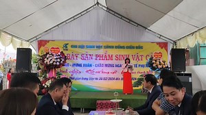 19 reactions | Hội svc thôn Bổng điền bắc xã Tân lập khai mạc triển lãm svc mừng xuân Giáp Thìn | Bach Thuan Bonsai | Facebook