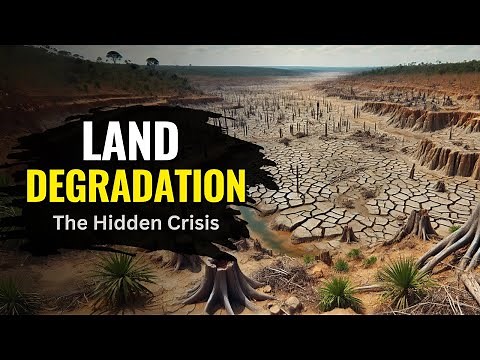 Land Degradation | Causes, Effects, and Solutions | The Planet Voice