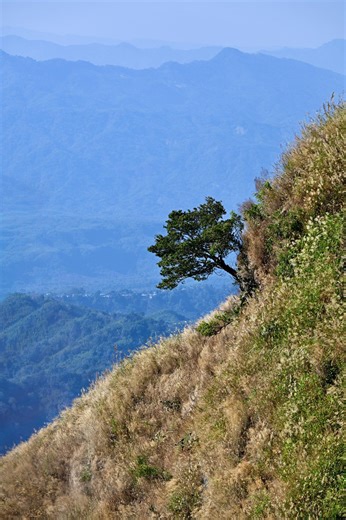 Zoremsanga Chawngthu on Instagram: "Hetiang a riang deuh a thing ding ka hmuh hian ka lung a ti leng tlat pek a. Mal tlat ṭhang nih hi chuan mahni inkawm keuh keuh te, eng eng emaw suangtuah vak vak te hi a awl ṭhin. Mal tlat nun hi hman thiam chuan huho nun ngaina deuh aia chungnun bikna thlen thei a ni a. Hman thiam loh erawh chuan depression a thlen thei thung. Khawvela mi ropui tak tak te hi mal tlat rek rek nuam ti an tam khawp mai. Huho nun ngainat laklawh chuan kan phi cheng a, thil tih h
