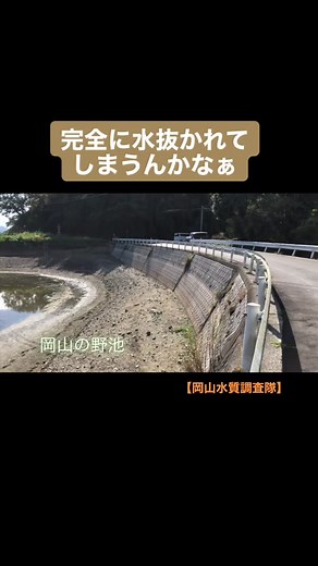 岡山の野池でバス釣り動画 - 金森隆志の挑戦