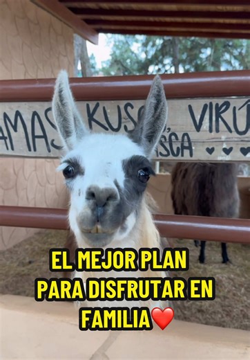 El Mejor Plan Familiar en Bucaramanga