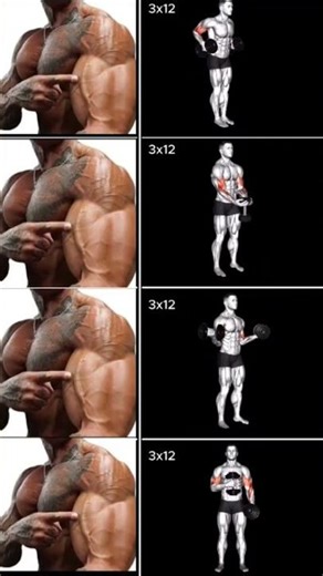Top biceps exercises for veins with dumbbells| #fitness #motivation #gym #pullups #squats #shorts