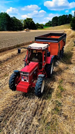 ‪@JCBLOADINGSOILINTRACTOR‬ Case_1056_#newholland_#international_#caseih_#dezeure_#caseih1056xl_