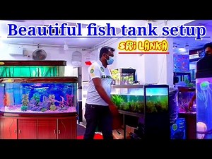 Important & local fish tank | Fish tank setup |#aquariums_tour | sl anush | how to make a fish tank