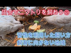 田舎でニワトリを飼おう②習性を利用した飼い方、糞のにおい、卵の色は羽の色？、飼育に向かない地域【解説動画】