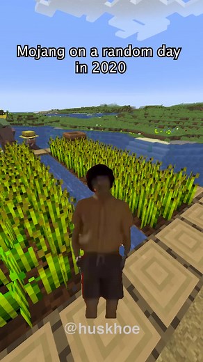 Understanding the Growth Process of Wheat in Minecraft