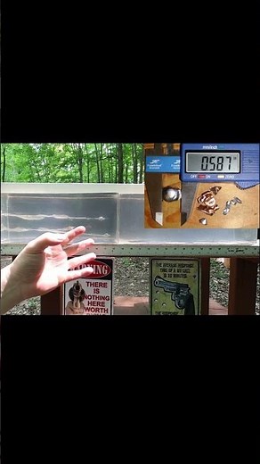 .357 Magnum VS .44 Magnum