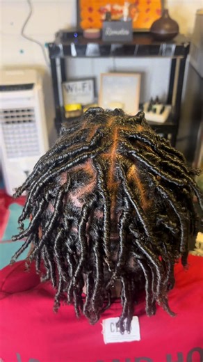 Comb coil starter Locs ❤️‍🔥🔥🔥 perfection #combcoils #fyp #starterlocs #locs #dreads