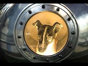 The World's 2nd Most Famous Dog. Her Story Will Touch You. Laika