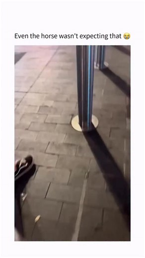 Fact Samjho | This video captures a moment of surreal urban performance, highlighting the unexpected intersection of street culture and traditional law... | Instagram