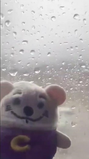 Chuck E. Cheese on a rainy day ☔️