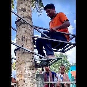 💥 மரம் செய்த சம்பவம் 😮 கடைசியில் கண்கலங்கிட்டேன் 🥺 The Tree Sacrifice #shortsfeed #tamil #history
