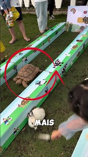 Turtle vs. Rabbit Race 😱