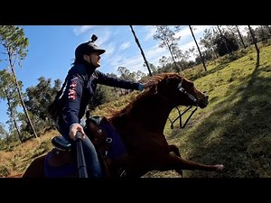 How to Use GoPro-Equestrian Edition