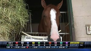 31K views · 992 reactions | California Chrome will return to the races TOMORROW in the Winter Challenge Stakes at Los Alamitos! Kurt Hoover caught up with Chrome and Alan Sherman yesterday; check out the full interview here! | FanDuel Racing | Facebook