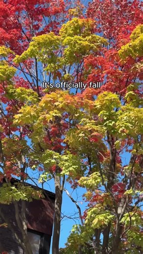 It’s finally fall  windows down, leaves turning, coffee in hand,...