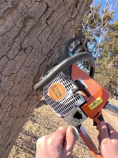 To the person that’s saying a Stihl is hard starting #stihl #fypシ゚viral #tree #treehugger #artistsoftiktok