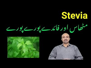 What Are Health Benefits Of Stevia | Is Stevia Good For Diabetes & Weight loss | dr afzal
