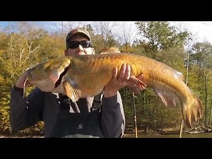 Catch Catfish and Carp, Subscribe to the Catfish and Carp YouTube Channel!