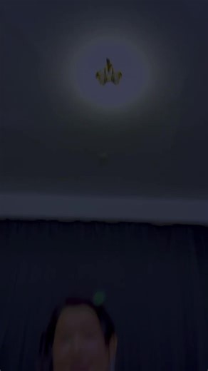 Cultural Significance of Maya Traditions and Music