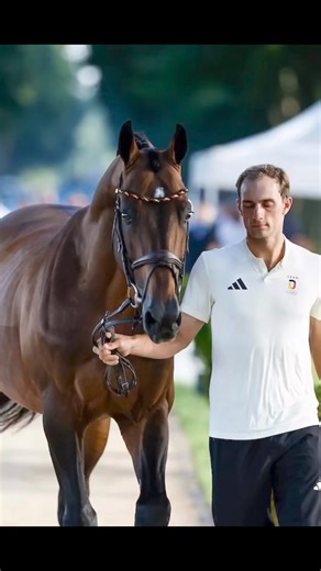 ‼️ Good News aus Paris: Alle vier 🇩🇪deutschen Springpferde „fit to compete“‼️ Die deutschen Springpferde haben am Mittwochmorgen den VET-Check passiert und sind „fit to compete*. Christian Kukuk und Checker, Richard Vogel und United Touch S, Philipp Weishaupt und Zineday sowie Reservereiterin Jana Wargers und Dorette fühlen sich top fit für die Wettkämpfe in Paris. Am Abend um 18.15 Uhr steht in Versailles ein erstes Training auf dem Programm. Am Donnerstag steigen die Springreiter dann in den