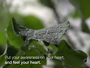 59K views · 103 reactions | A MOMENT OF PEACE: This 1-minute breathing and mindfulness exercise is scientifically shown to reduce stress and improve the immune system. Repeat as necessary. | UCSF | Facebook