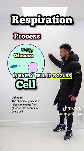 Understanding Respiration: Biology Class Explained