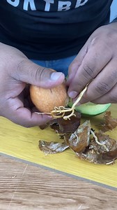 24K views · 293 reactions | Expert in the field reveals the avocado solution! No more paying too much 勞 | Daily Dose of Tips | Facebook