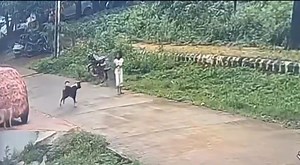 42K views · 205 reactions | Shocking CCTV Footage Shows Young Girl...