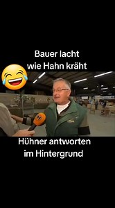 483K views · 7.7K reactions | #lustig #video #reel #clips #funnyvideos #hahn #bauer #lachen #hühner #funny | lustige.video.clips | Facebook